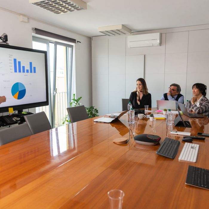 A businesswoman presents slides to her colleagues during a conference (Demo)